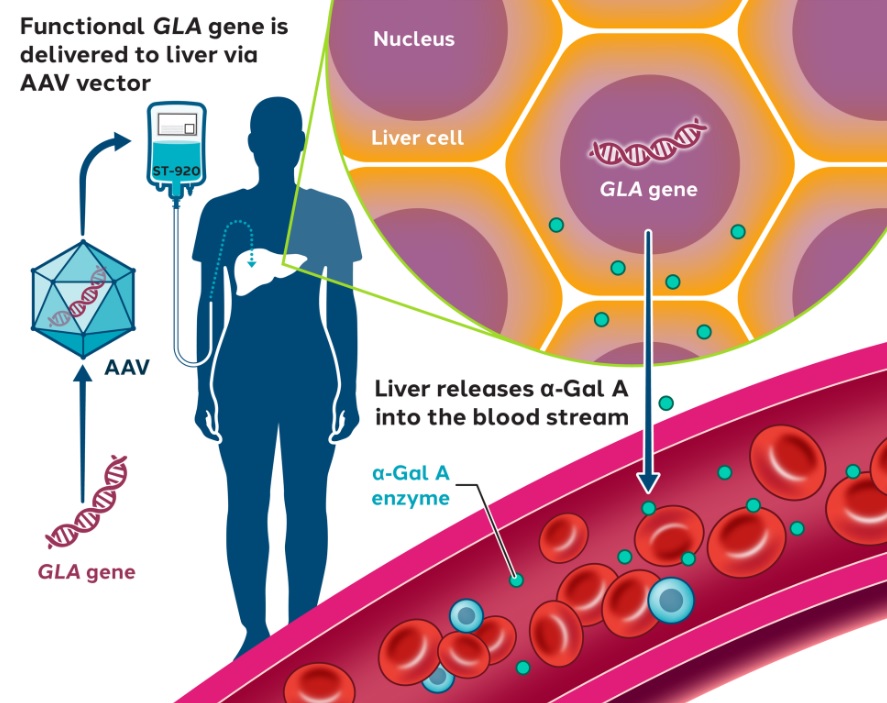 Figure 4 original.jpg