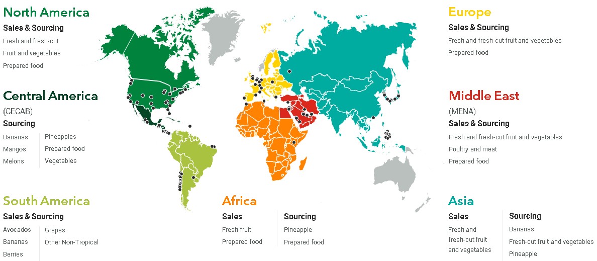 10-K geographic sales.jpg