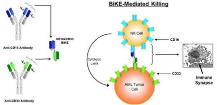 Diagram
Description automatically generated