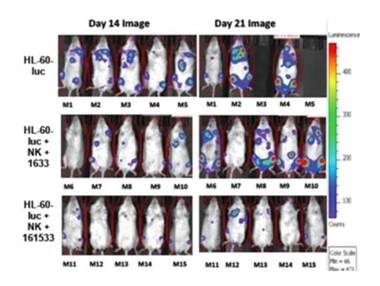 Table
Description automatically generated