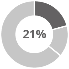 03_IPG Photonics_pie_compensation_other NEOs_salary.jpg