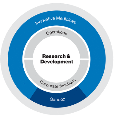 WSGE_DP_Graph_CompanyStructure