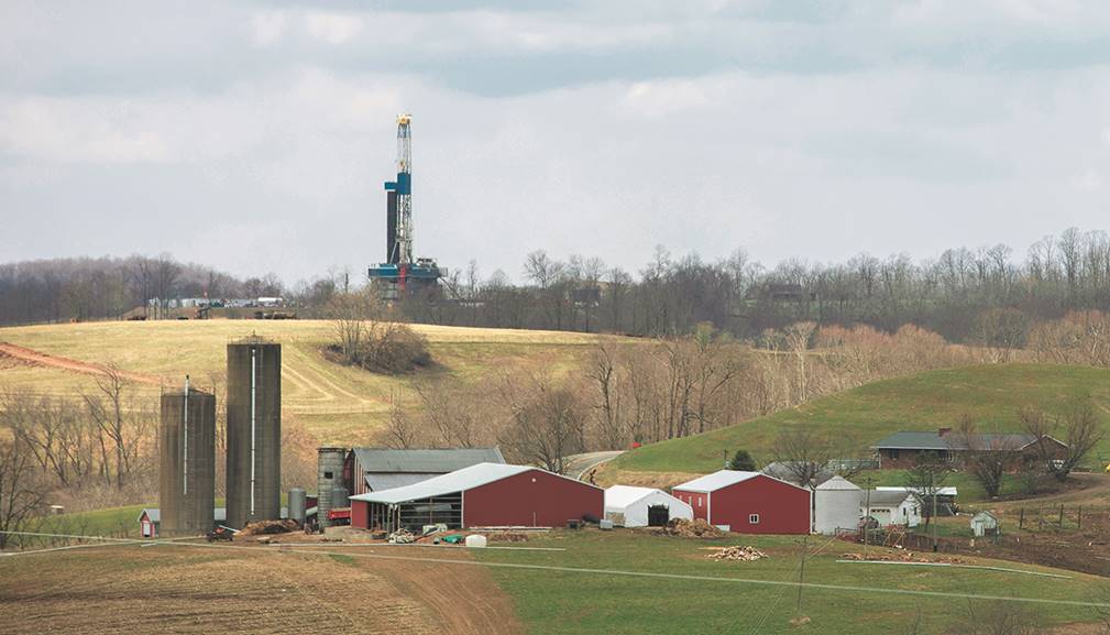 A large farm field

Description automatically generated