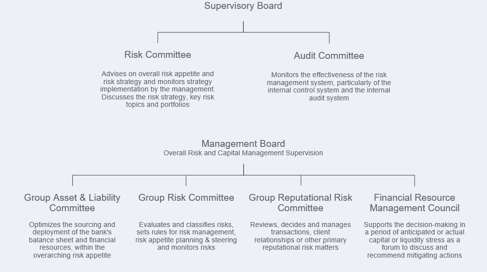 Governance Strucutre DB -jpg.jpg