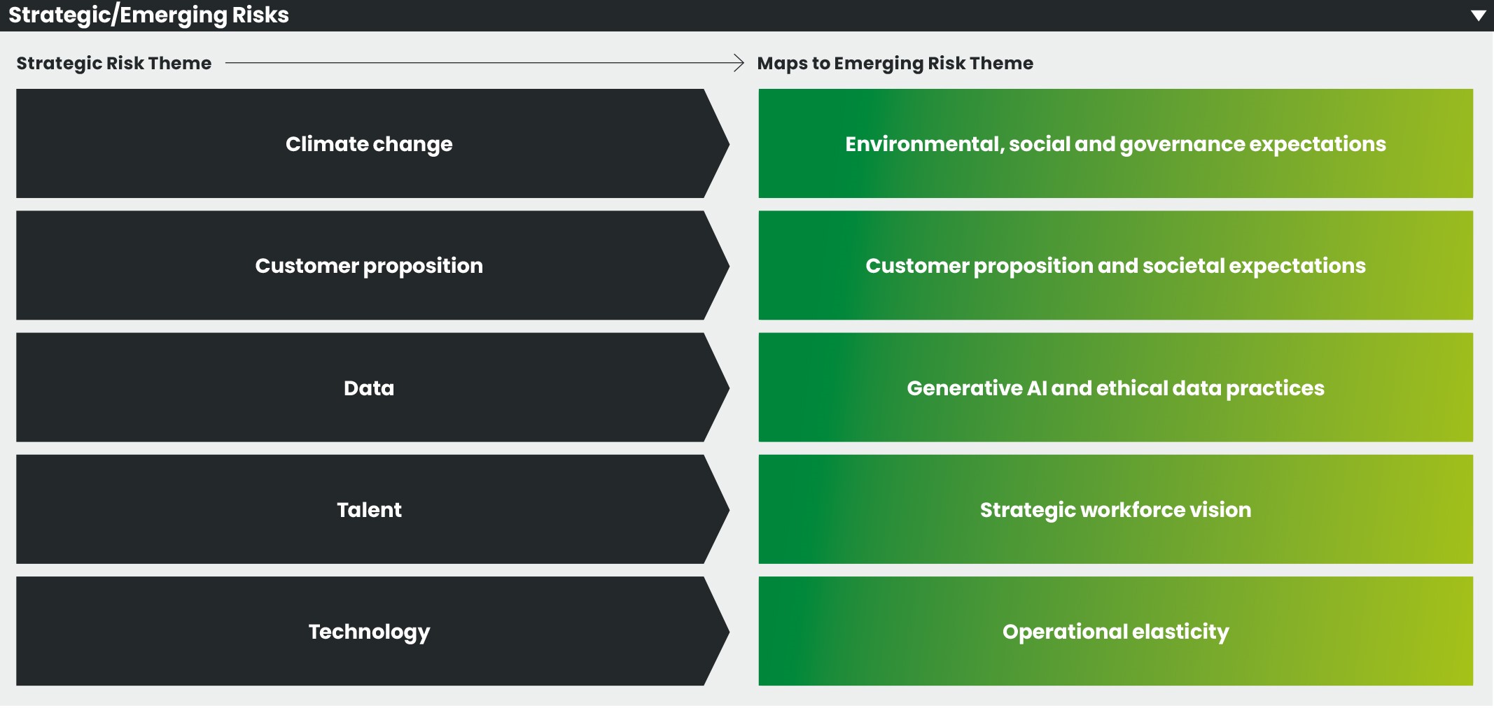 Strategic_Emerging_Risks_ 20Feb24 7.15pm.jpg