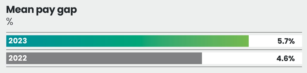 1.19 LBG_AR23_F20_EthnicityMeanPayGap.jpg