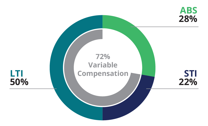 pie chart_Other ECA members (excl. CEO).jpg