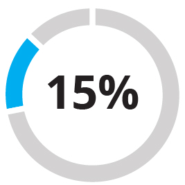 03 437322-1_pie_rotating_perf-matrix_STI_CEO.jpg