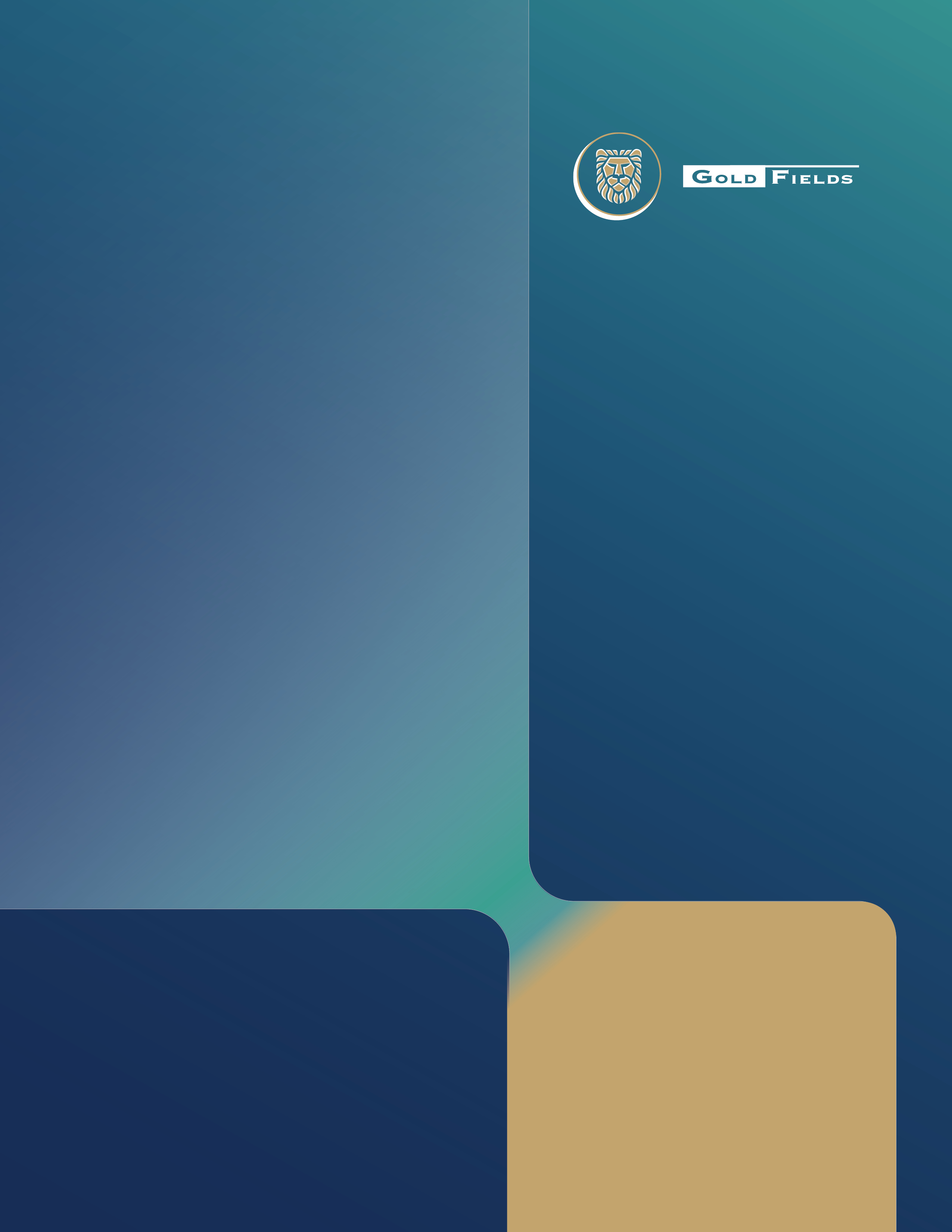 Gold Fields 20F Financials back cover.jpg