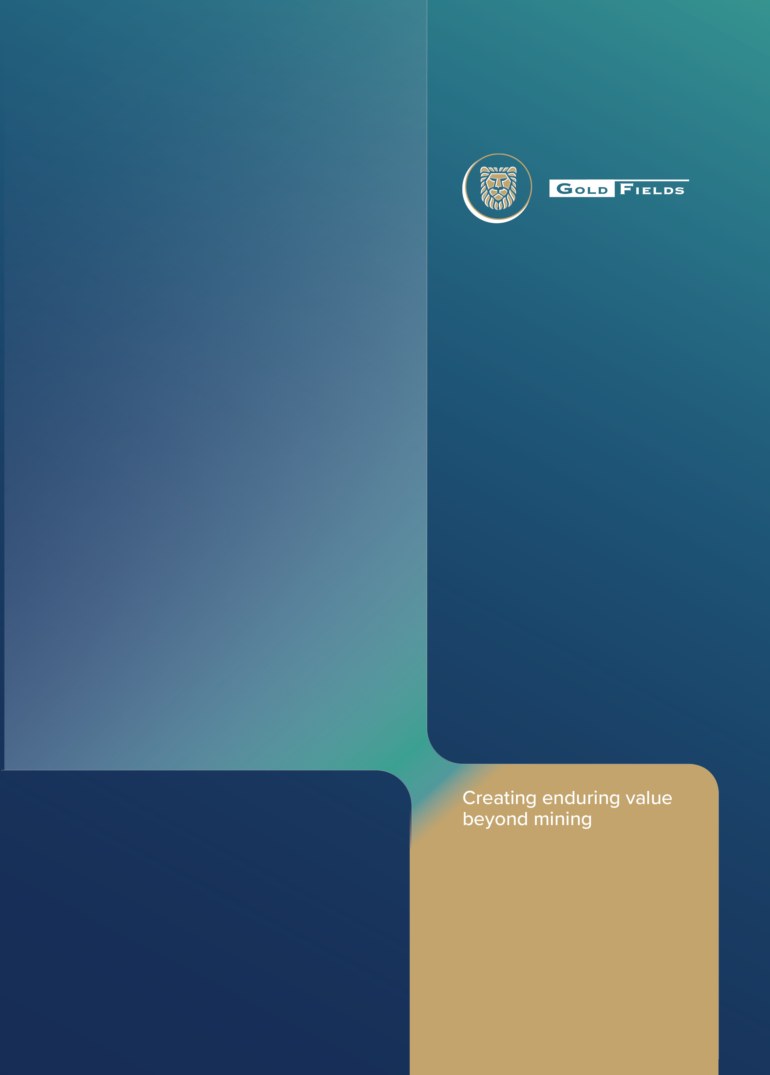 Gold Fields 20F_Back_OBC.jpg