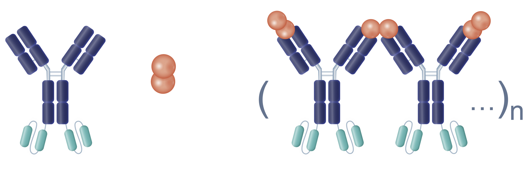 Crescent SL1_Fig 5a.jpg