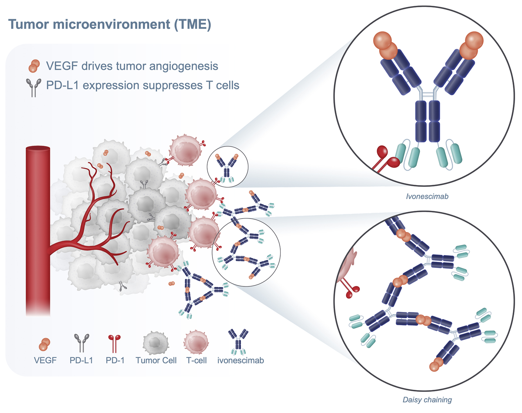 Crescent SL1_Fig 5b.jpg