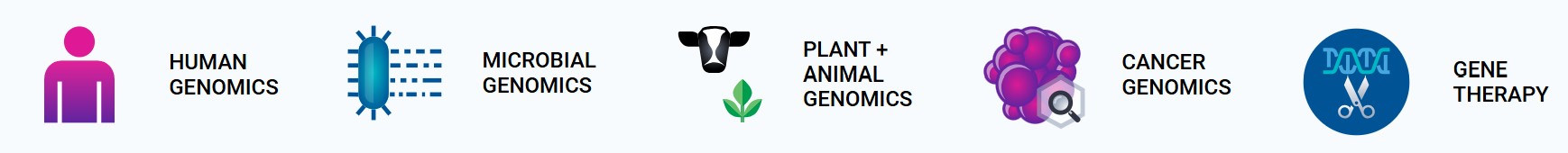 Principal Markets.jpg