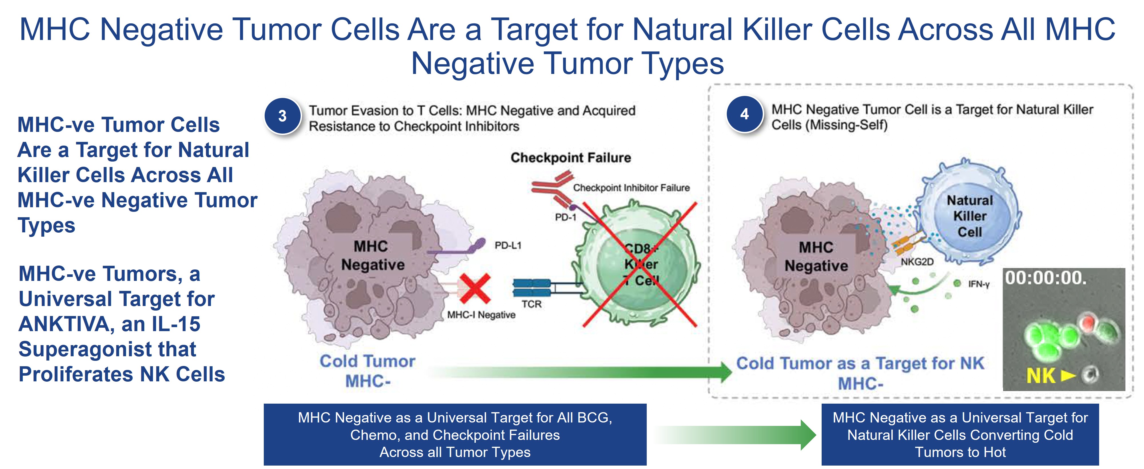 Steps 3 and 4 2.26.2025.jpg