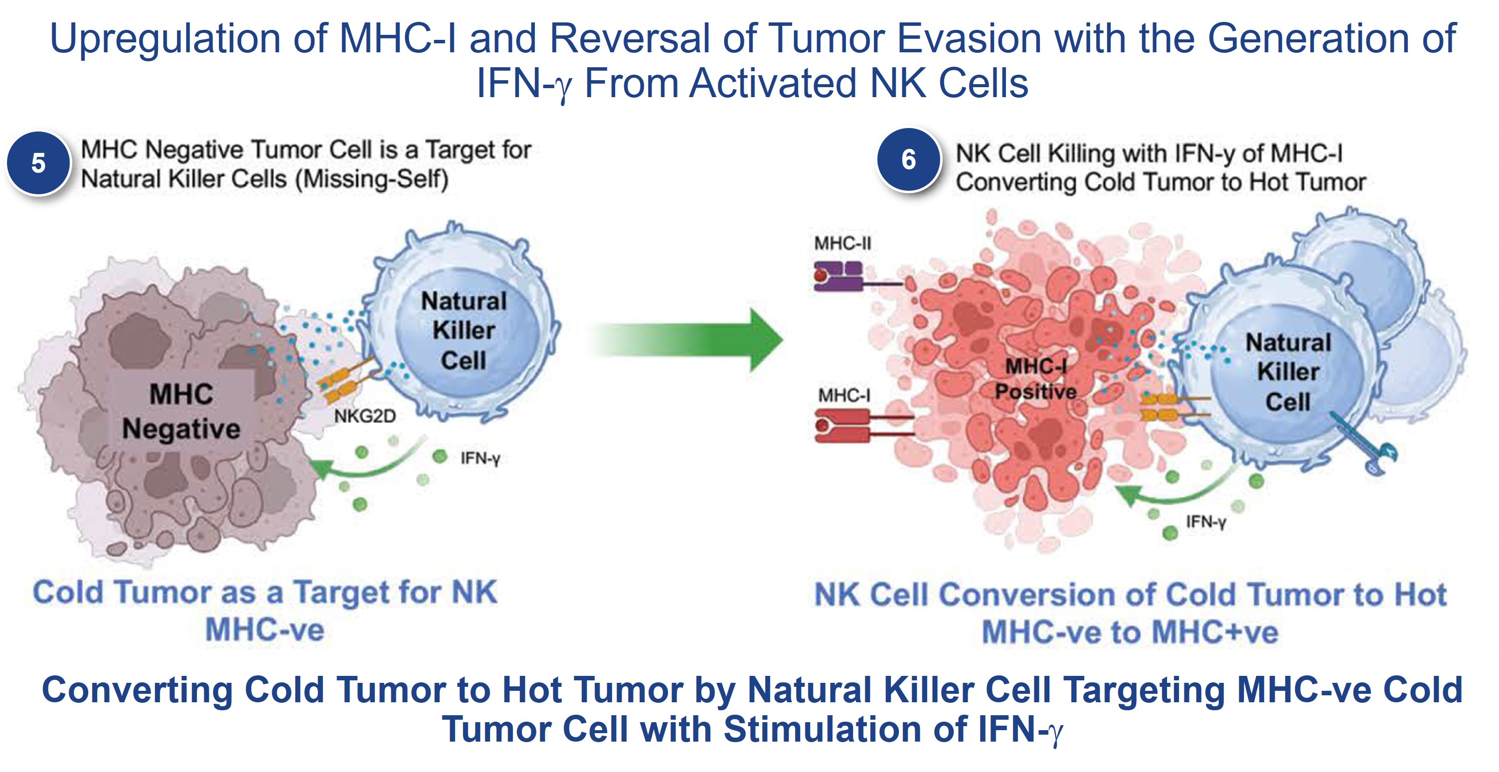 Steps 5 and 6 2.26.2025.jpg
