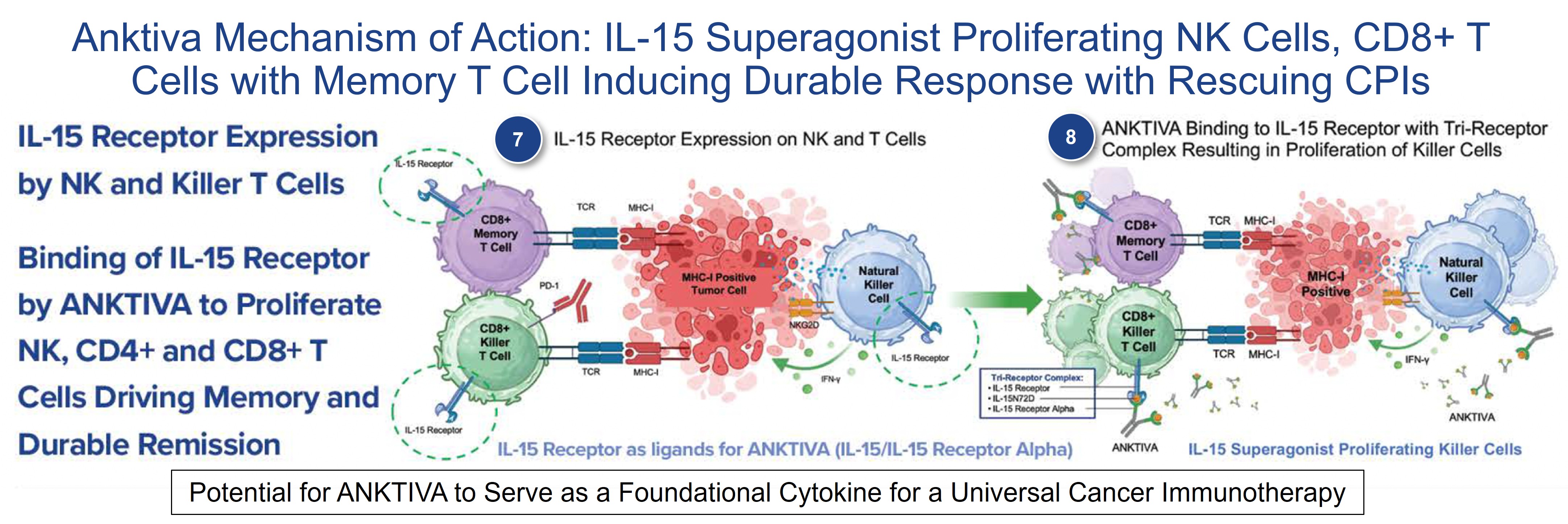 Steps 7 and 8 2.26.2025.jpg