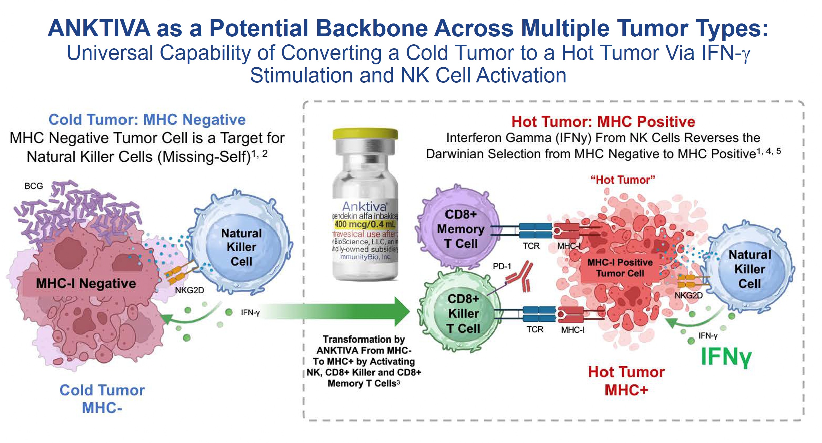 ANKTIVA Backbone 2.26.2025.jpg