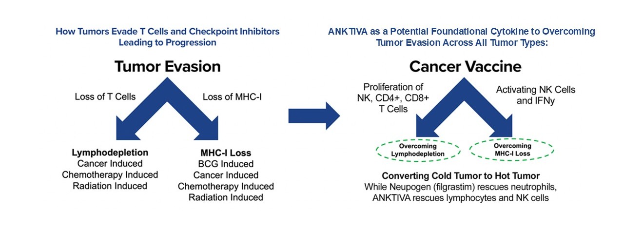 Tumor evasion double arrows 2.27.2025.jpg