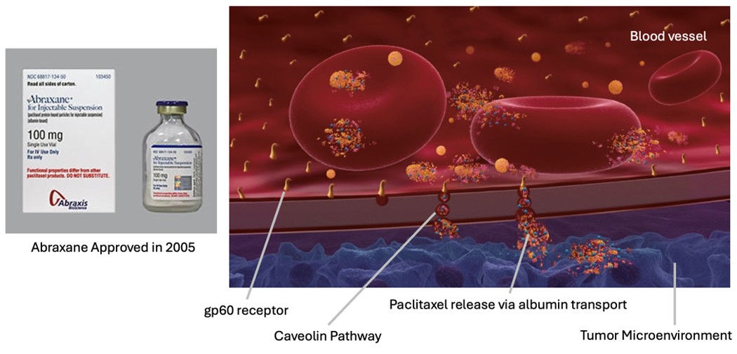 Abraxane Blood Cells 2.26.2025.jpg