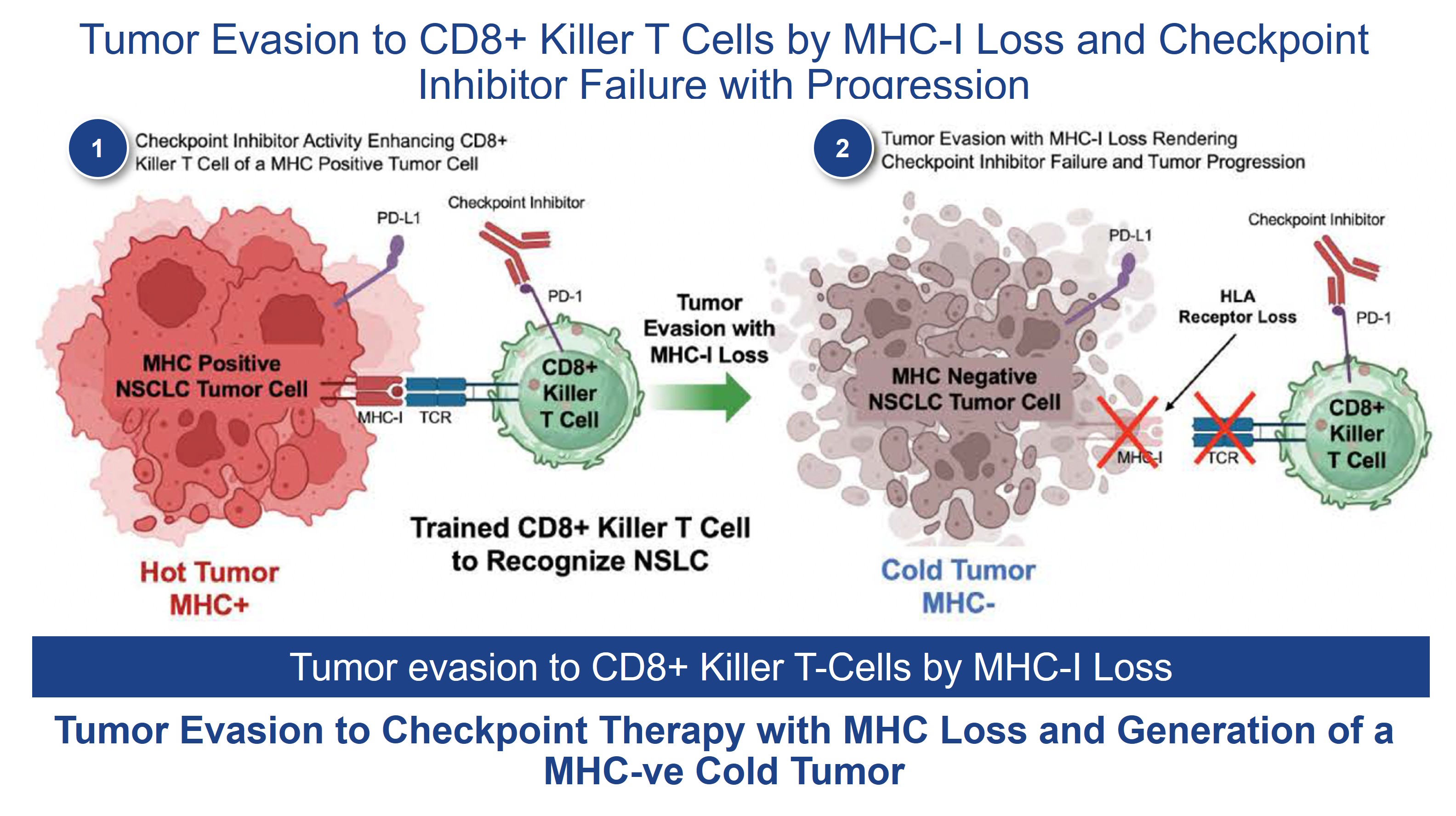 Steps 1 and 2 2.26.2025.jpg