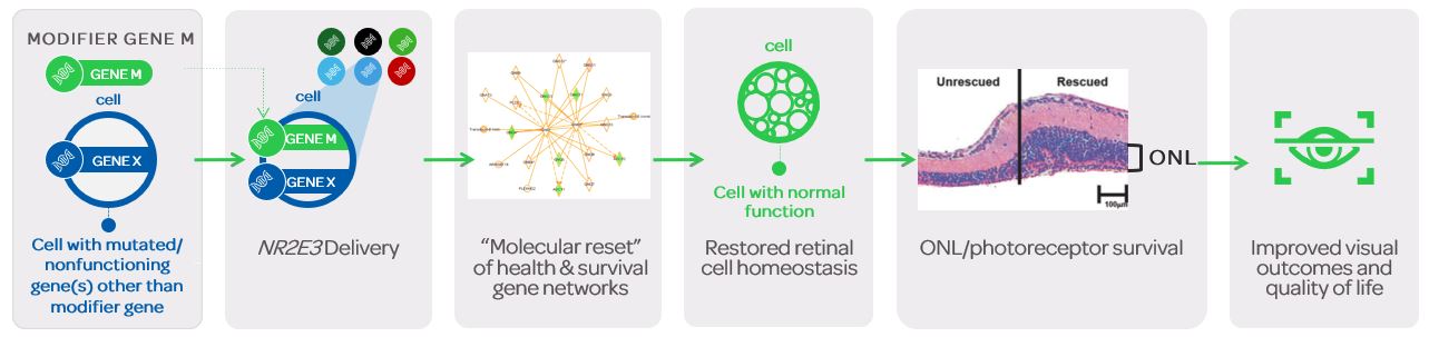 Mechanism of OCU400.jpg