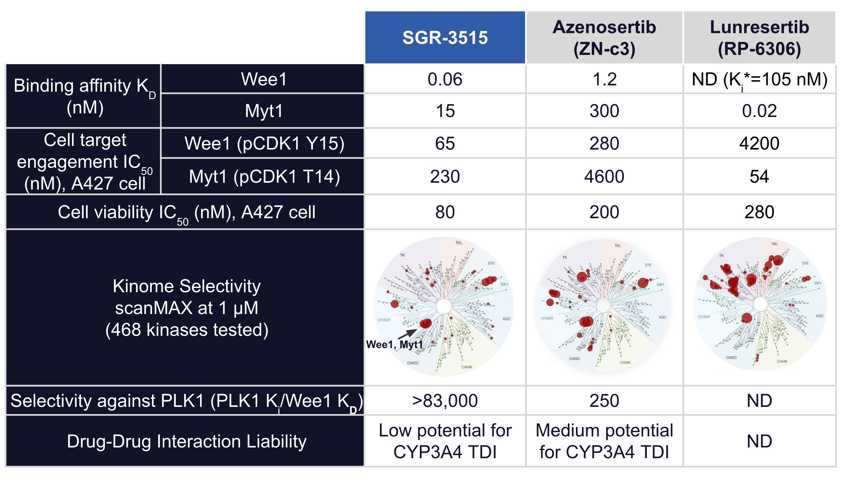 Screenshot 2025-02-18 at 3.54.14 PM.jpg