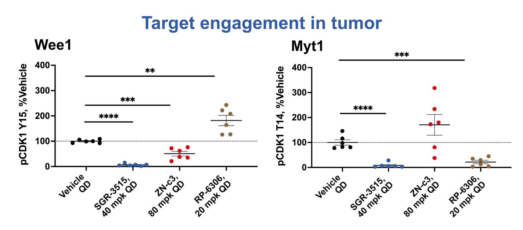 Screenshot 2025-02-18 at 3.55.00 PM.jpg