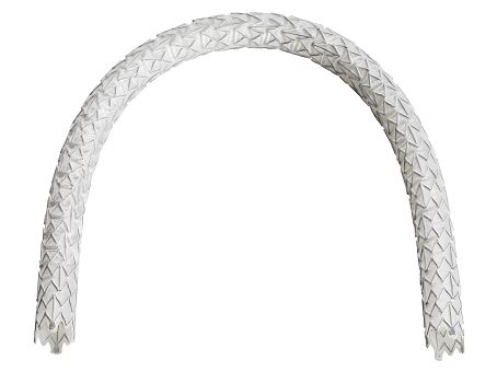 LF Stent 2 JPEG.jpg