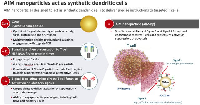 AIM Nano particles.jpg