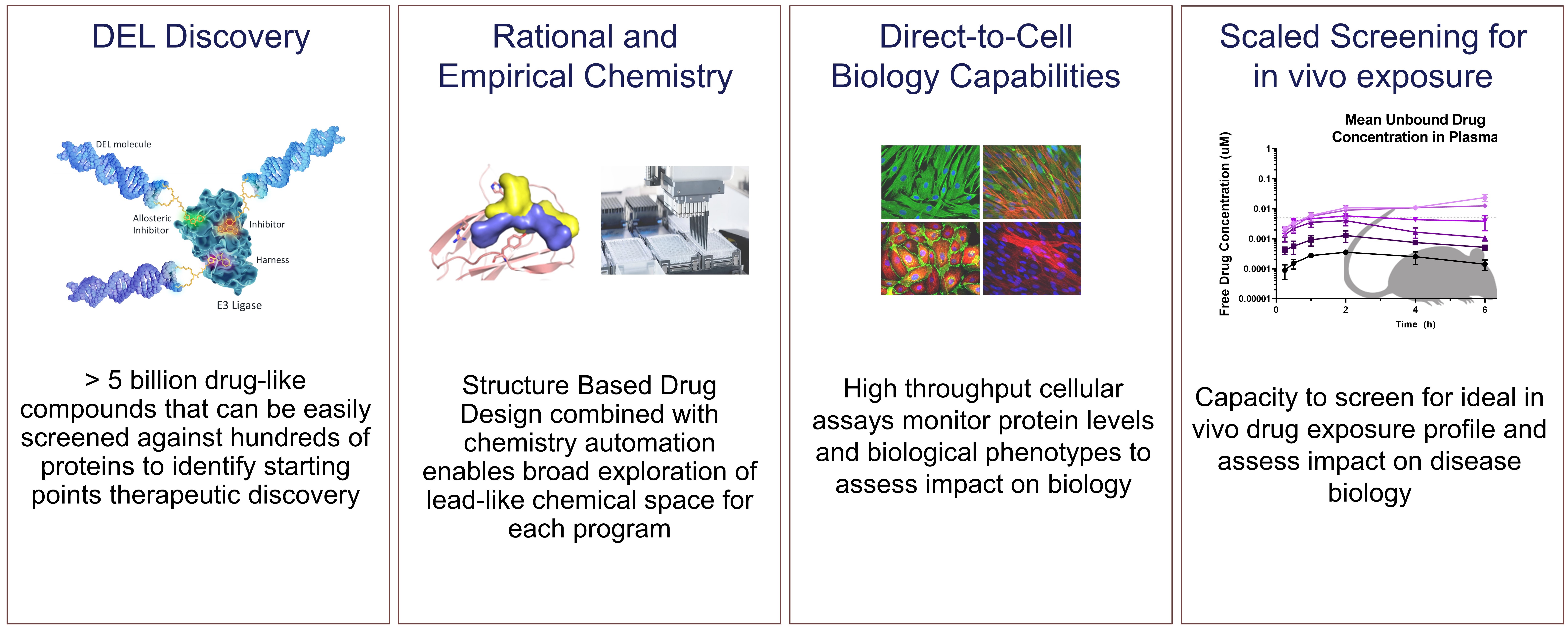5. DELigase discovery platform.jpg