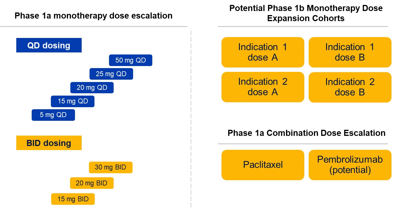 Phase 1a monotherapy ppt.jpg