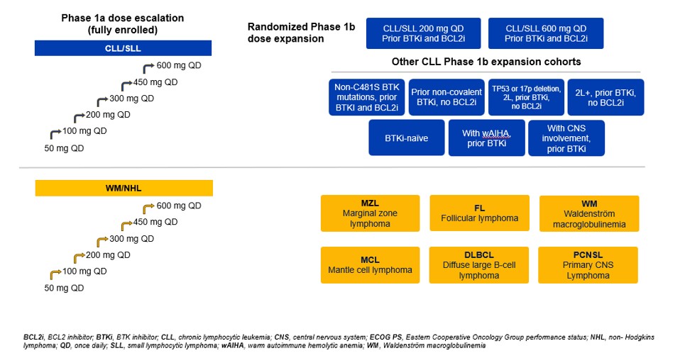 Bexdeg Phase 1 clinical study design.jpg