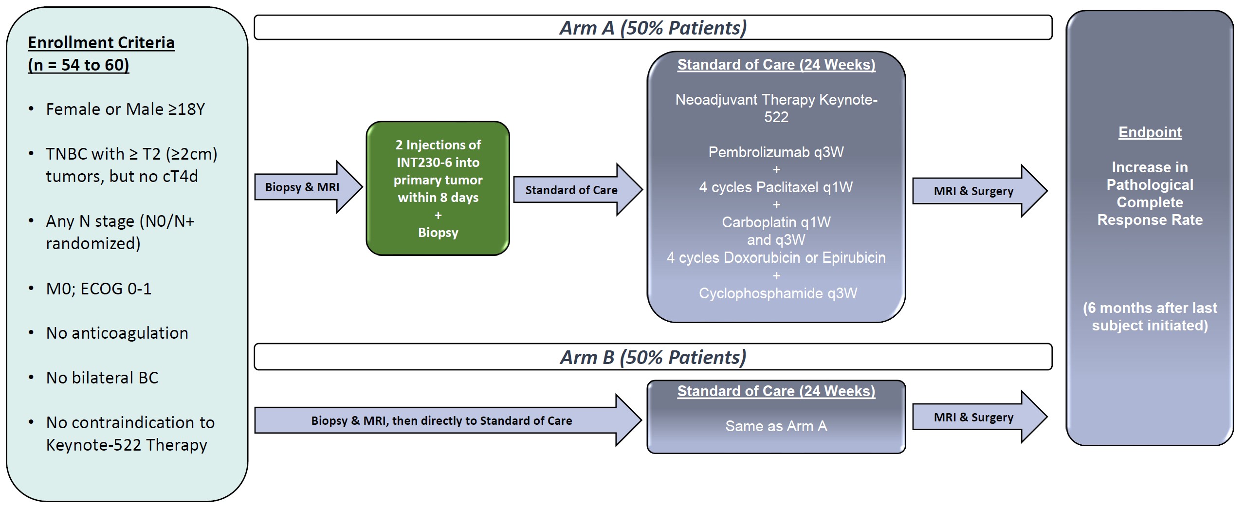 Phase 2 Breast Trial.jpg