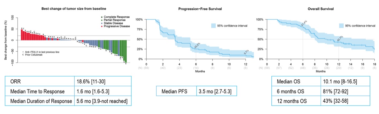 Mona Tumorsize PFS OS 2.jpg