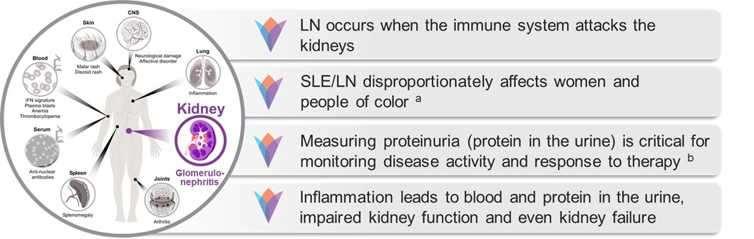 Picture2 LN image.jpg