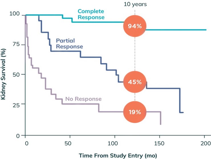Picture3 Kidney Survival.jpg