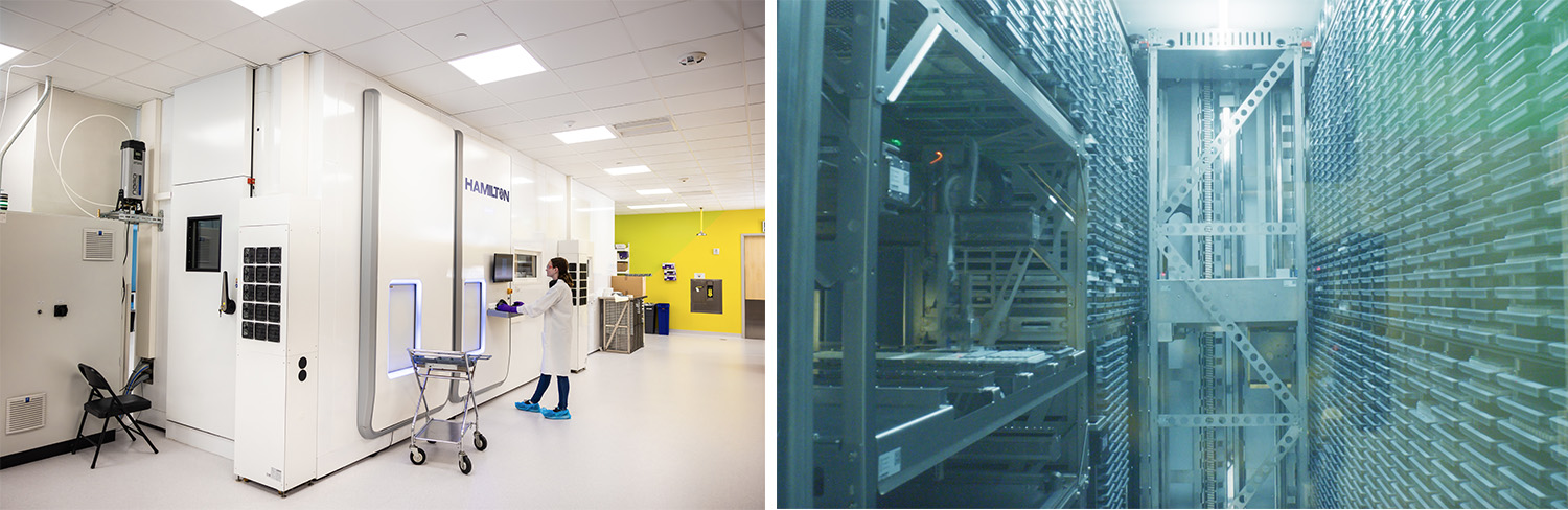 fig 20_compound storage.jpg