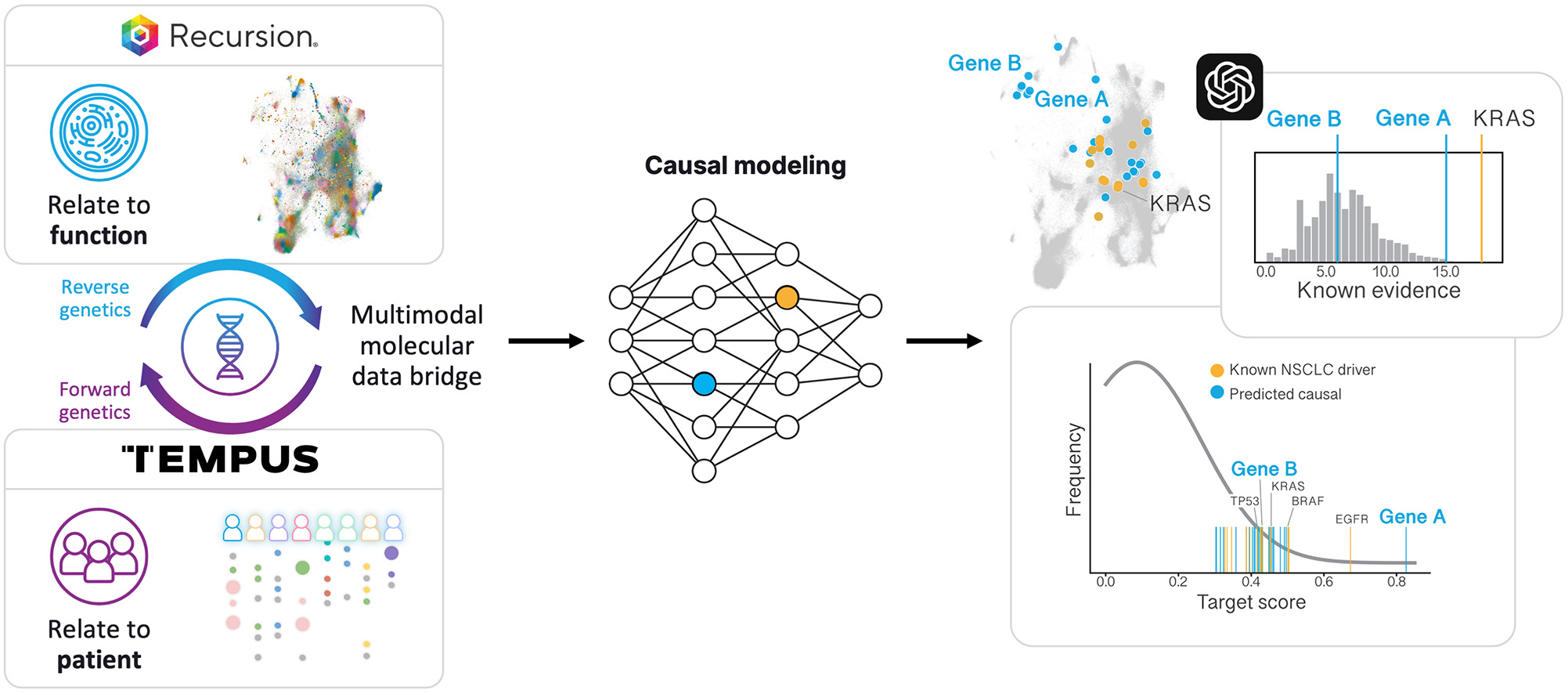 fig 22_Tempus RX.jpg