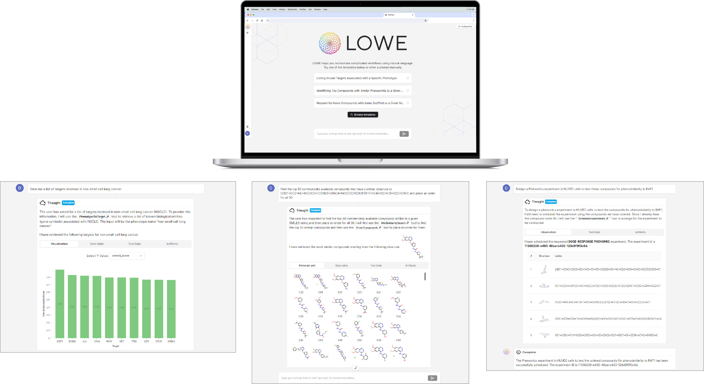 fig 25_Lowe screens.jpg