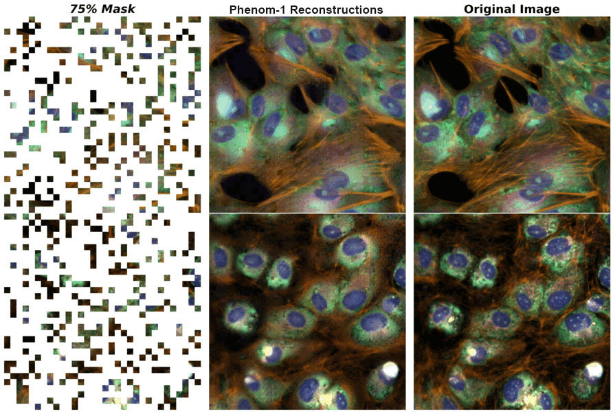 fig 27_phenom-1 reconstruction (1).jpg
