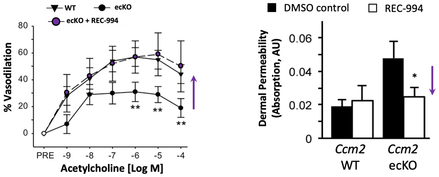 fig 36_REC-994 reduces defects.jpg