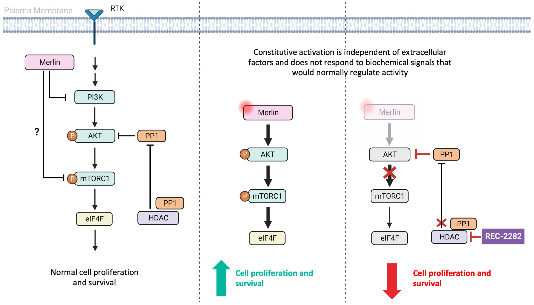 fig 41_REC-2282 MOA.jpg