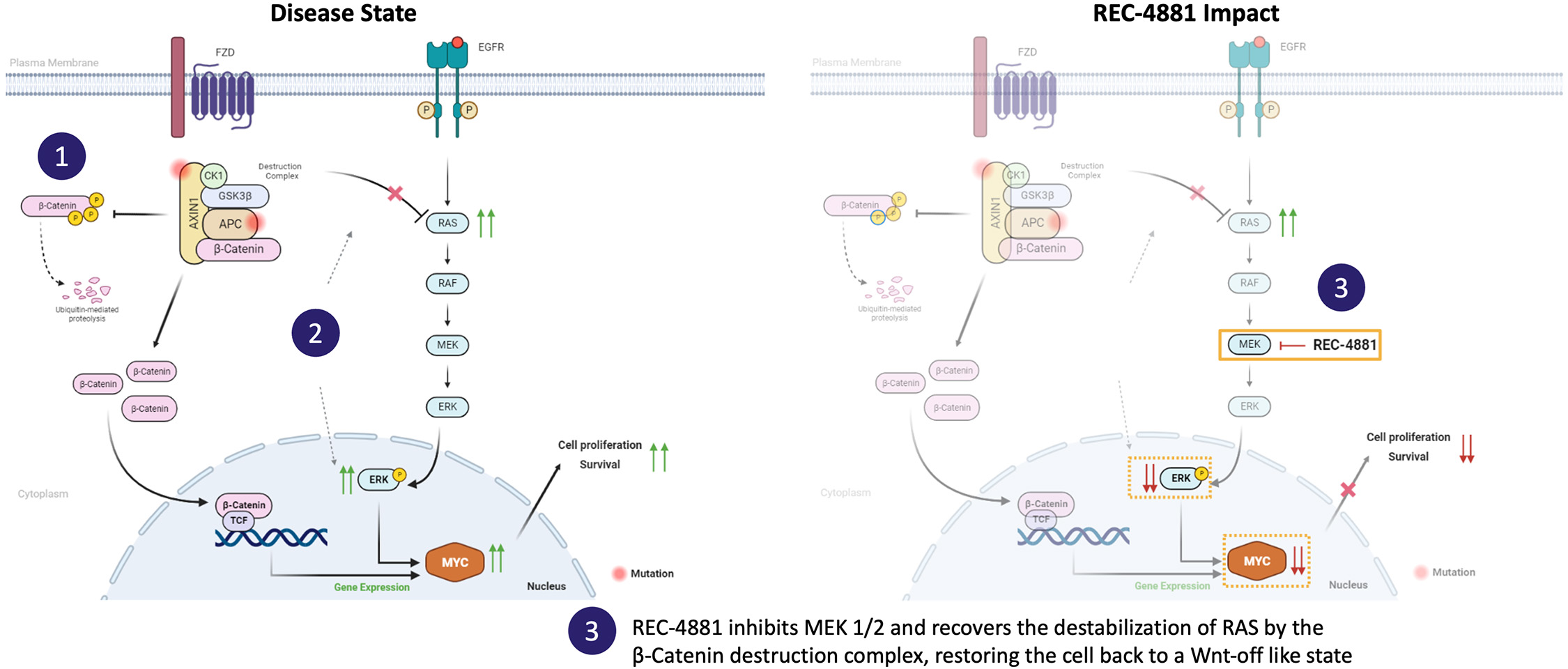 fig 45_REC-4881 MOA.jpg