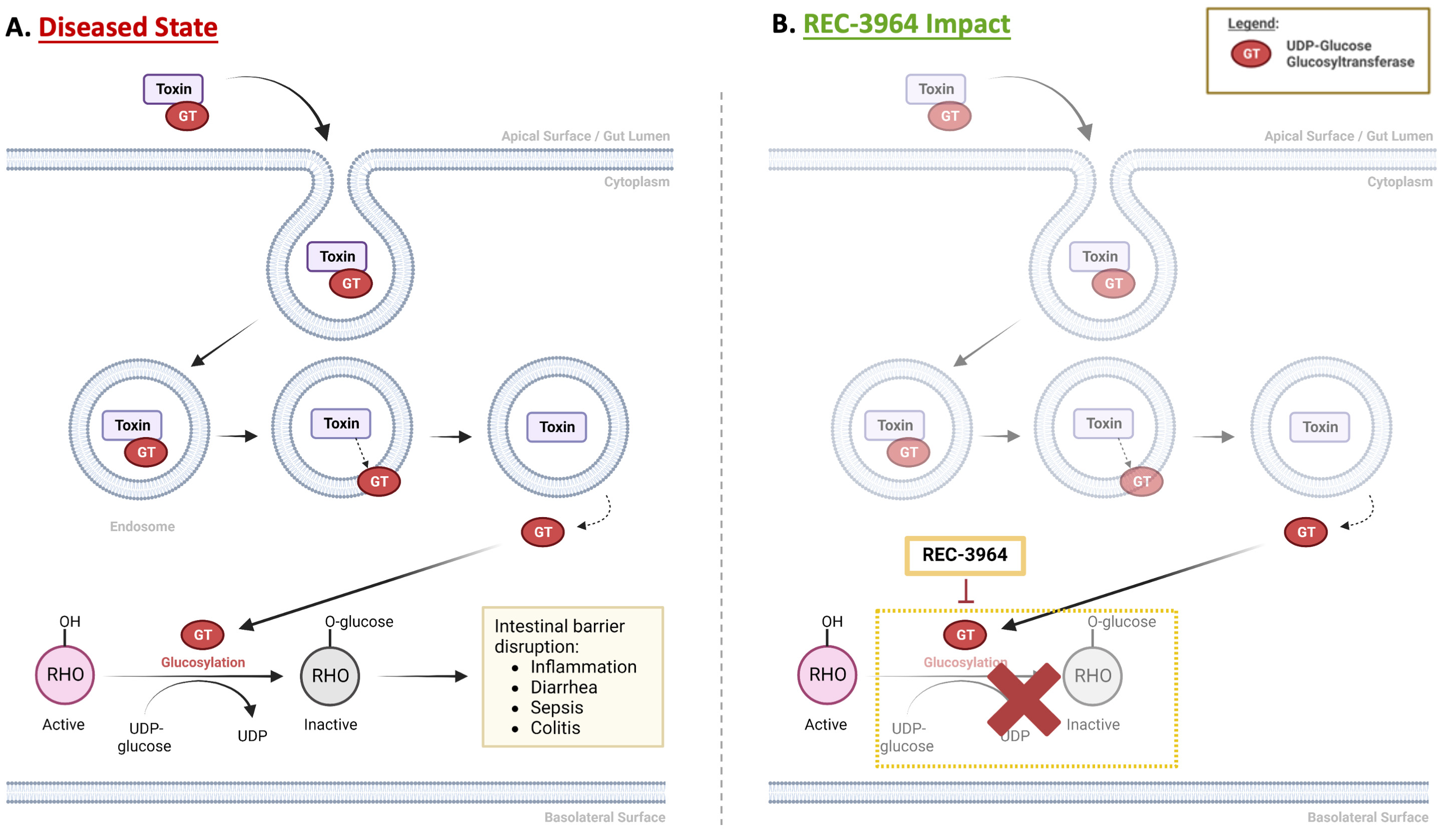 fig 54_REC-3964 MOA.jpg