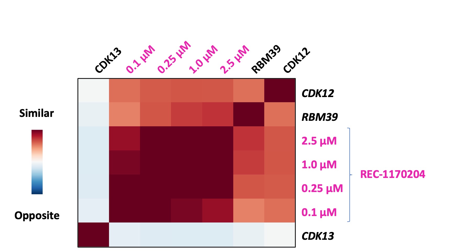 fig 57_RBM39 heatmap-v2.jpg