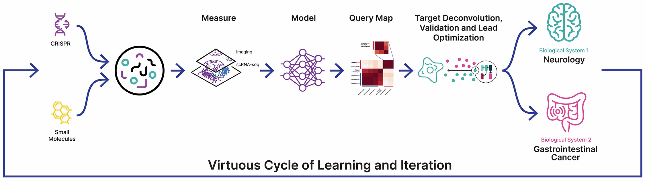 fig 62_Roche Genentech cycles.jpg