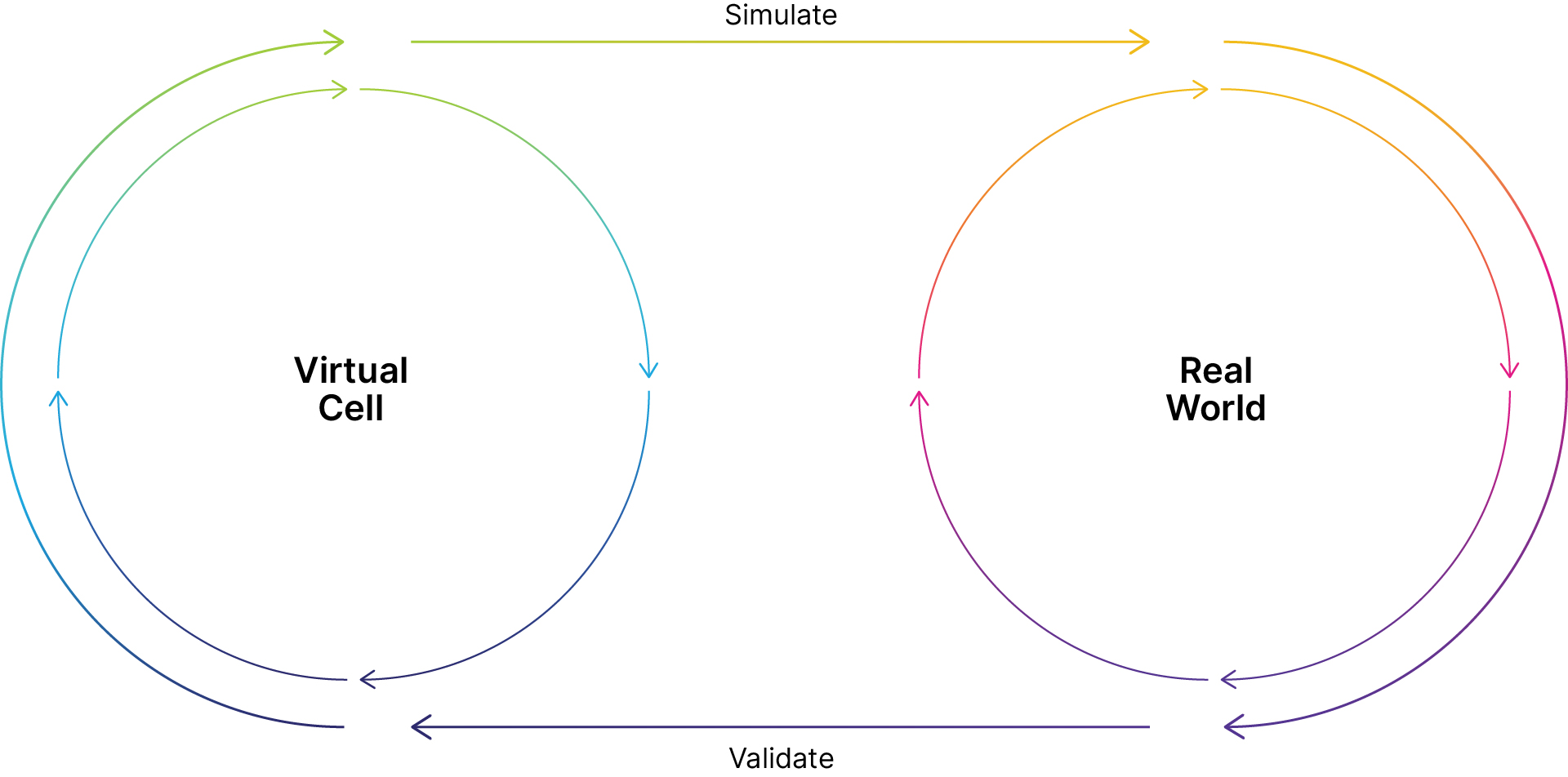 Asset 18@1920x-100.jpg