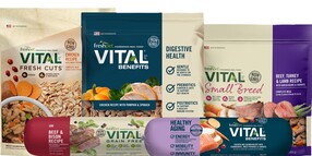 4. Vital Family2024.jpg