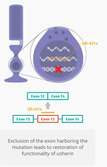 A picture containing screenshot

Description automatically generated