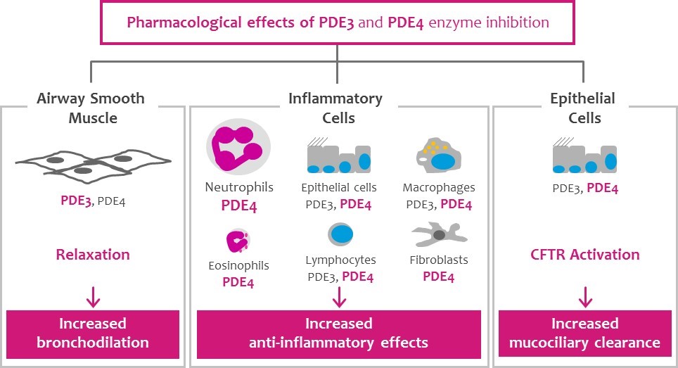 pde34activityfor20fa01.jpg